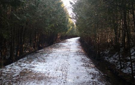 Tiger Dunlop Trail Image
