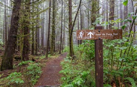 Juan De Fuca Marine Trail Image