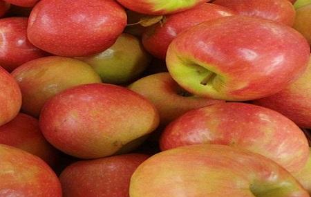 Mercier Orchards Image