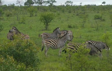 Phabeni Gate, Kruger National Park Image
