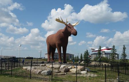 Mac The Moose Monument Image