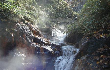 Oyunuma Natural Footbath Image