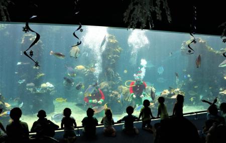 Aquarium Des Lagons Nouvelle Caledonie, Noumea | Ticket Price | Timings ...