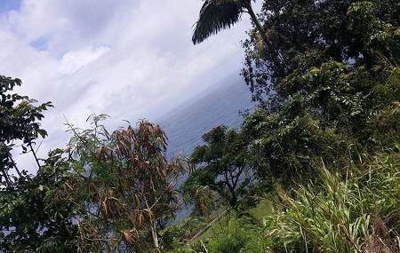 Pineapple Park Hostel - Kona Image