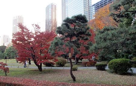 Hamarikyu Gardens Tokyo Ticket Price Timings Address Triphobo