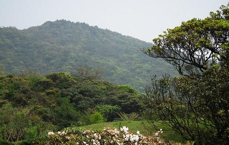 Yangmingshan Lengshuikeng Image