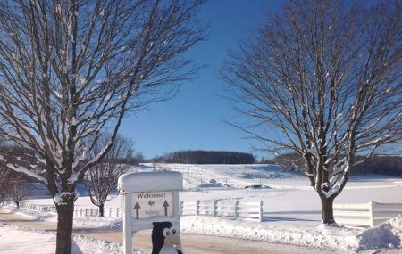 Maple Ridge Snow Park Image