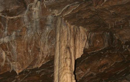 Pooles Cavern & Country Park Image
