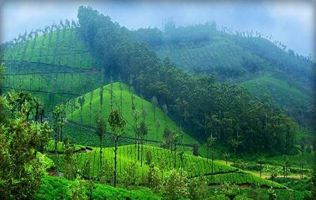 Nallamudi View Point, Valparai | Ticket Price | Timings | Address: TripHobo