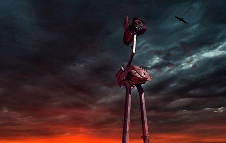 Stanley The Emu Image