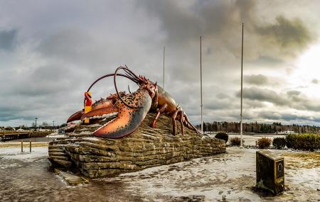 Giant Lobster Image