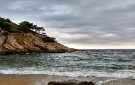 Platja D'es Codolar Image
