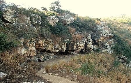 Saptaparni Cave Image