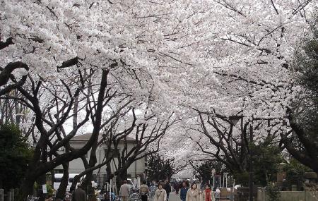 Yanaka Cemetery Image