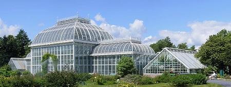 Kaisaniemi Botanic Garden Image