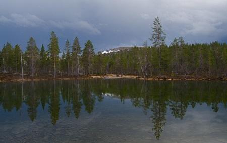 Urho Kekkonen National Park Image