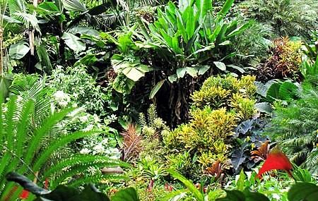 Hunte's Garden Image