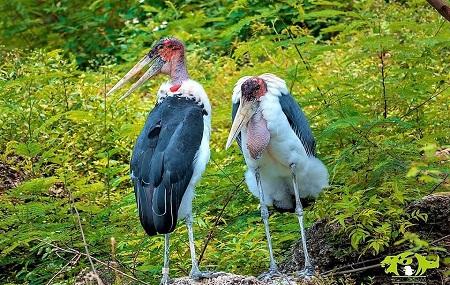 Parque Zoologico Nacional Image
