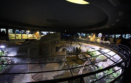 Aquarium Tropical Du Palais De La Porte Doree Image