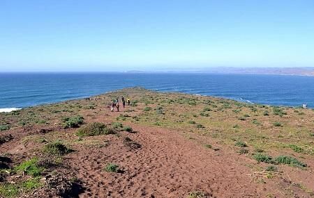 Tomales Point Image