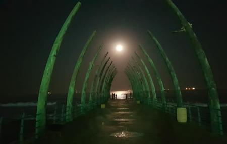 Whalebone Pier Image