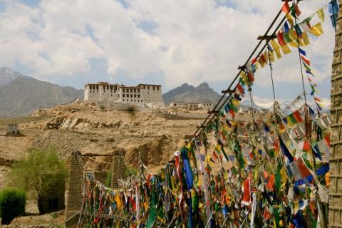 8 Day Trip to Leh