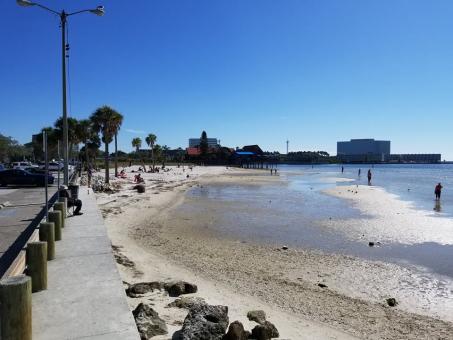 12 Day Trip to Tampa, Orlando, Panama city beach from Dereham