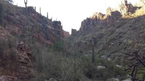 7 Day Trip to Tucson