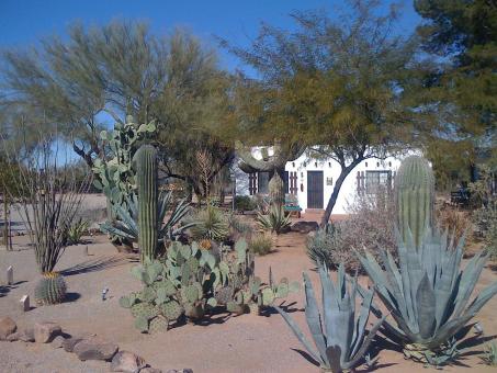 5 Day Trip to Tucson from Hackensack