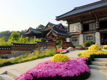 6 Day Trip to Seoul from Fargo
