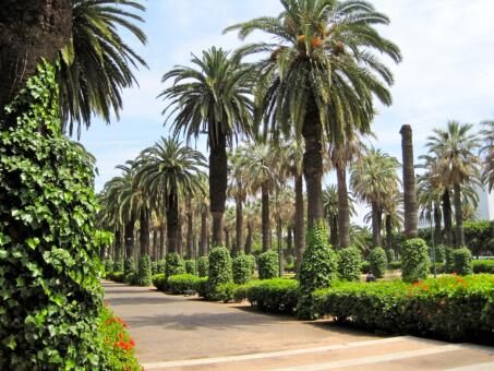 9 Day Trip to Casablanca, Marrakesh, Rabat, Essaouira, Tangier from Nouakchott
