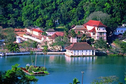 5 Day Trip to Kandy from Clapham