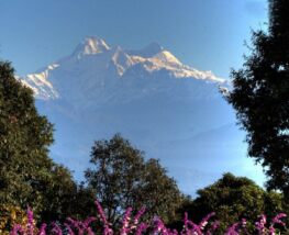 2 days Trip to Ranikhet from Naini Tal