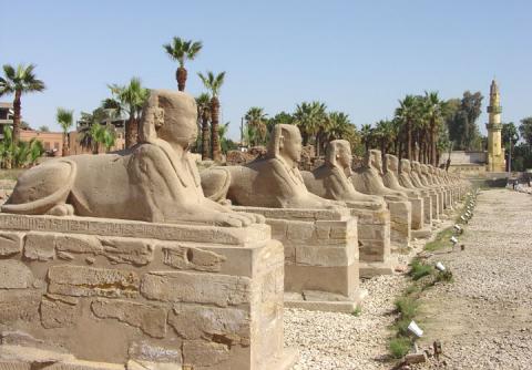 12 Day Trip to Cairo, Luxor, Alexandria, Aswan, Giza