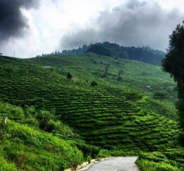 5 Day Trip to Darjeeling from Hyderabad