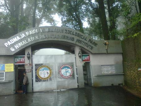 3 Day Trip to Darjeeling from Guwahati