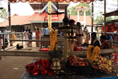 9 Day Trip to Kochi, Munnar, Alleppey, Thiruvananthapuram from Chennai