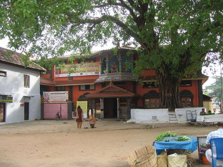5 Day Trip to Kochi, Thrissur, Ernakulam from Kochi