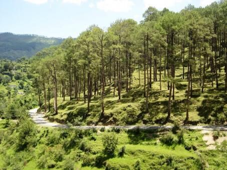 6 Day Trip to Almora from Virar