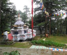 4 Day Trip to Dharamshala from Hodal