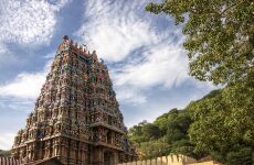 8 Day Trip to Madurai, Tirumala, Thanjavur, Rameshwaram from Mumbai