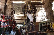 6 Day Trip to Madurai from Fazilka