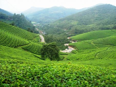 4 Day Trip to Munnar