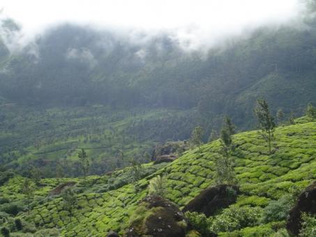 4 Day Trip to Munnar from Kolhapur