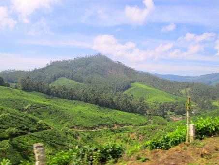 3 Day Trip to Munnar from Delhi