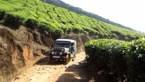 3 Day Trip to Munnar from Cumbum