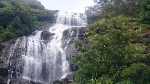 2 Day Trip to Munnar from Ernakulam