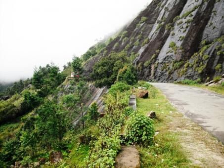 3 Day Trip to Munnar from Ernakulam