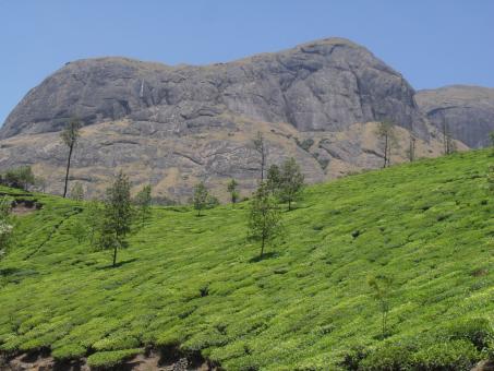 5 Day Trip to Munnar