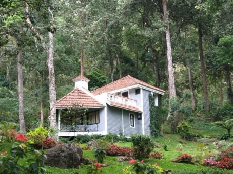 2 days Trip to Munnar from Kochi